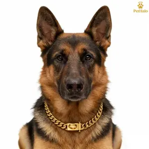 Gold Chain Dog Collar, Dog Cuban Link Link with Safety Design Buckle 15mm Metal Stainless Steel Walking Collar, Stainless Steel Dog Collar for Medium Dogs
