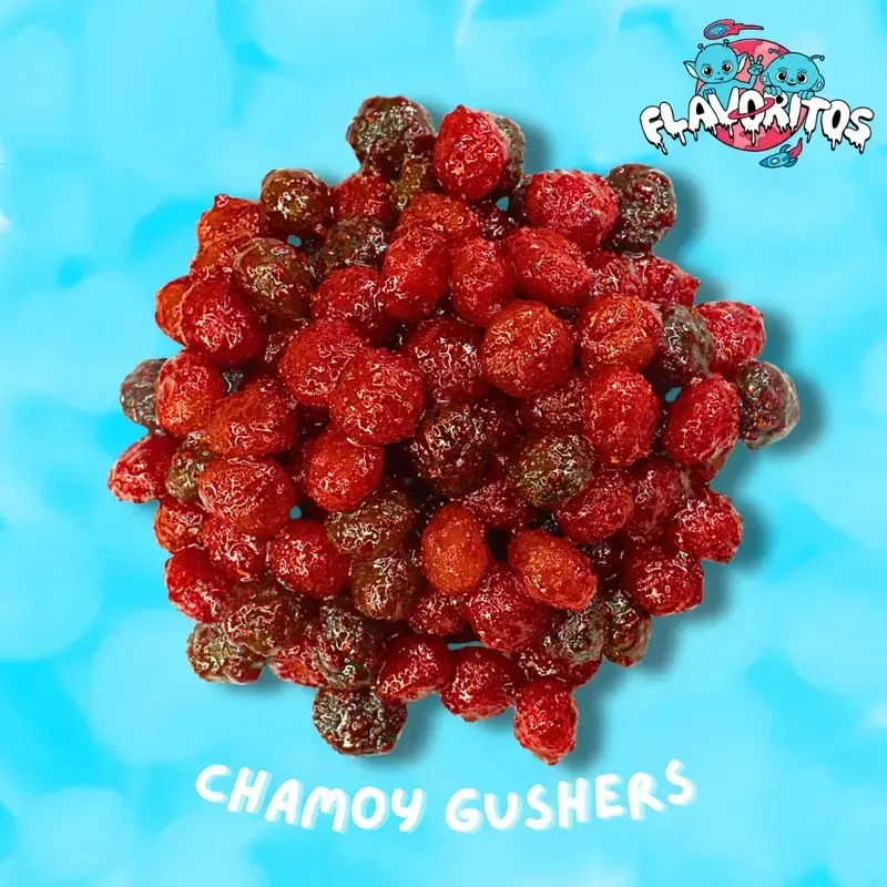Chamoy Gushers Burst- Flavoritos Sweet and Chili Gummy Candy Snack Chewy Spicy Bonbon ( choose size )