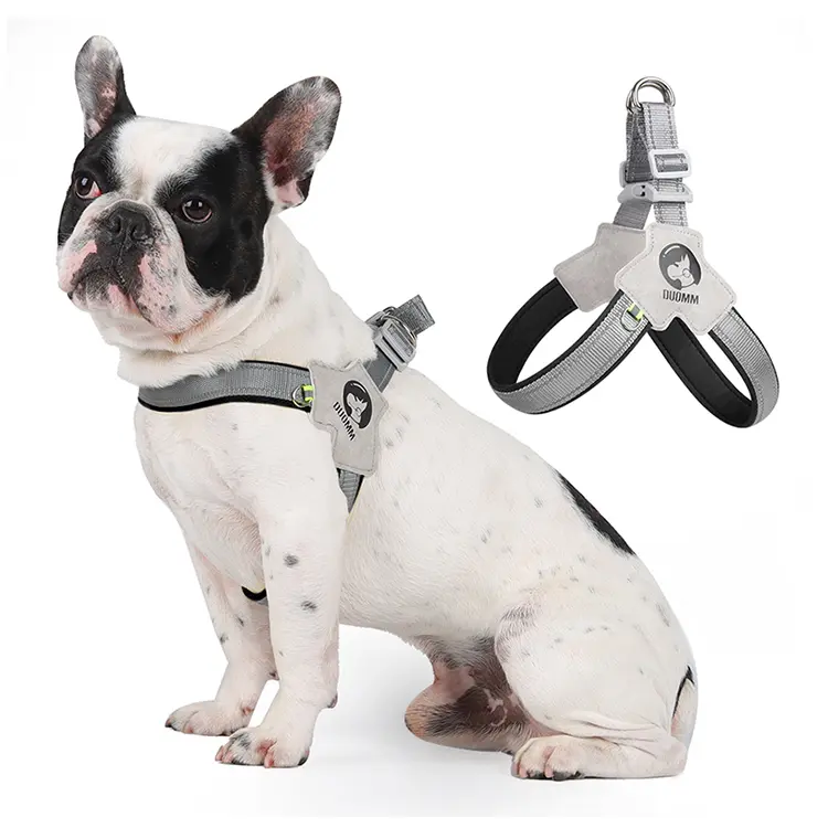 Dog harness leash for small and medium-sized dogs such as Corgis, Shiba Inus, and French Bulldogs; collar/vest style dog walker leash/pet collar