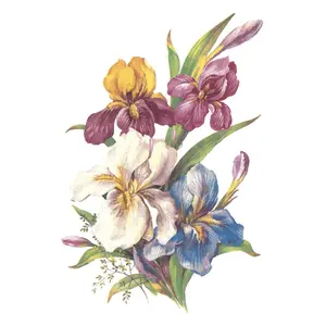Flowers Iris Overglaze Ceramic Decals