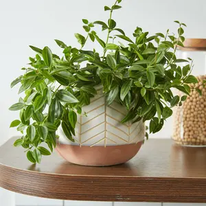 Geoluxe Ceramic Planter