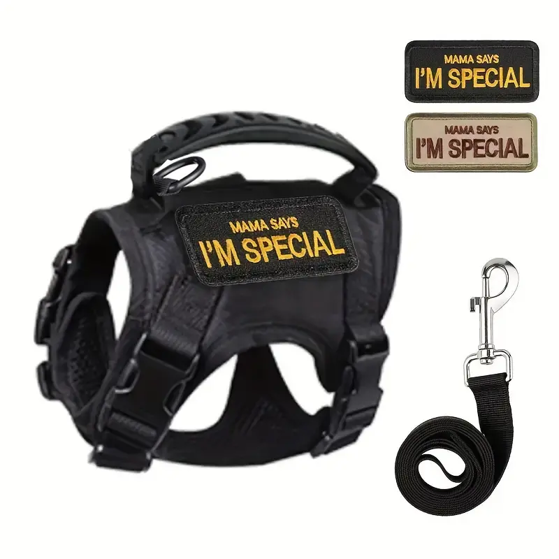 Adjustable Cat Harness with Leash, No Pull Harness, Soft Polyester Mesh Material for Comfort, Escape-Proof Design with Cute 'i'm Special' Sticker, Adjustable Safety Harness, Harness And Leash Set