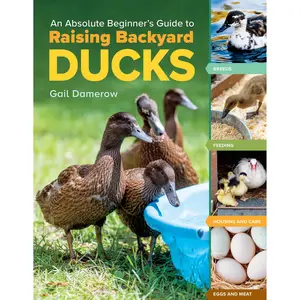 An Absolute Beginner's Guide to Raising Backyard Ducks by Gail Damerow [Paperback Book]