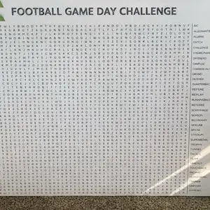 Giant Football Game Day Challenge Word Search Puzzle for Sports Fans