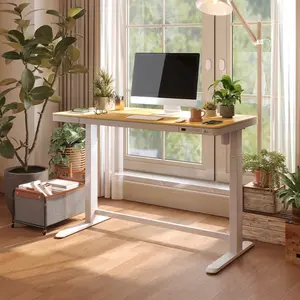 Flexispot Comhar Standing Desk