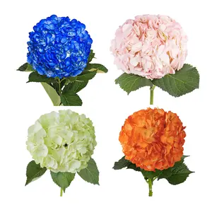 Assorted Painted Hydrangeas