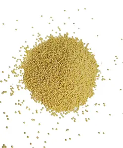 USA Grown Organic Millet, Whole Grain Seeds non GMO Hulled Bulk Raw