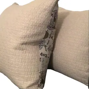 Cafe Latte Designer Comfort Pillows for your sofa (polyester fibers)                                                                   Set of 2 (22in x 22in) Soft Plush Without Zipper