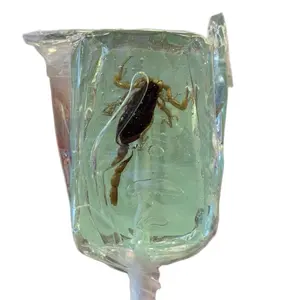 Hotlix Edible Scorpion Lollipop in Assorted Flavors - Sweet Snack (Color Will Vary) candy edible bugs Bonbon