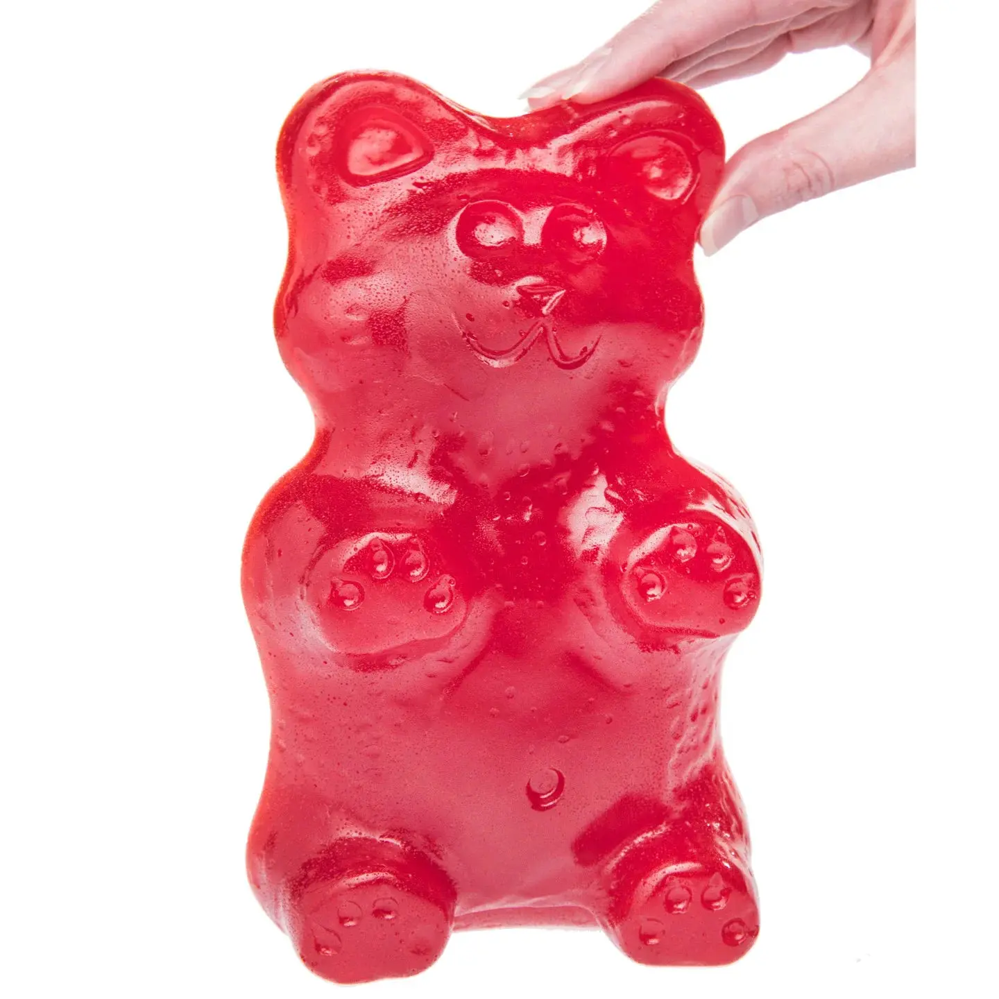 Gummy Grizzly Bear Gummy Grizzly Bear