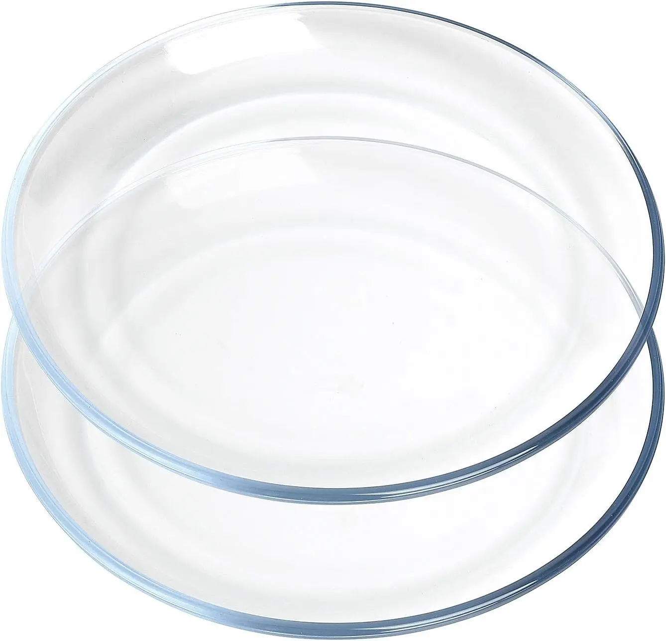 Basics Glass Plate Set, 10 inch Round Tempered Glass Dinner Plates, Glass Serving Dinnerware, Set of 2