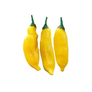 Aji Limo / Lemon Drop Seeds
