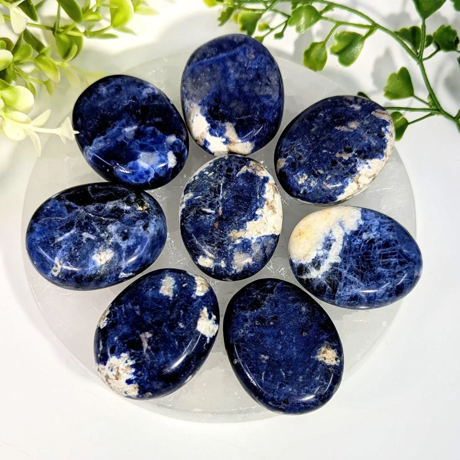 Sodalite Palm Stone – Deep Blue with White Veining
