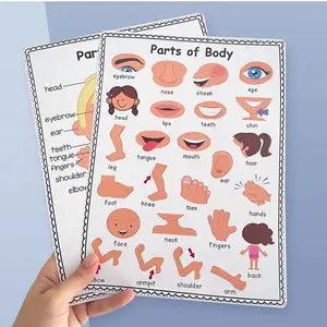 Body Parts Vocabulary Learning Poster, English Word Education Material, Prechool Classroom Decor, Home School Supplies, Early Childhood Education