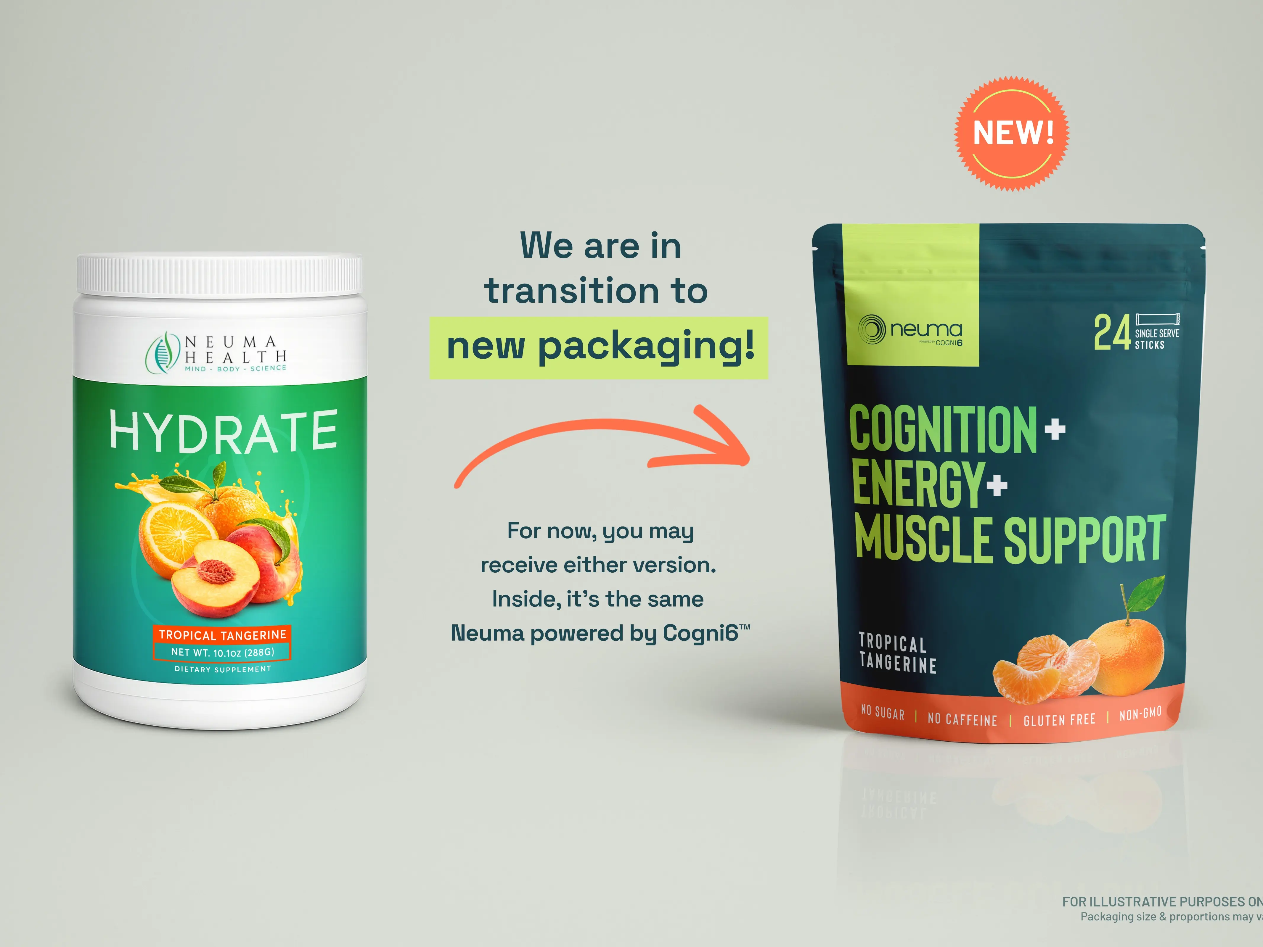 Neuma Powered by Cogni6 Clean Edible Dietary Supplement - Daily Nutrition for Brain Health, Tropical Tangerine Drink Mix for Focus, Energy, Mood - Made in USA