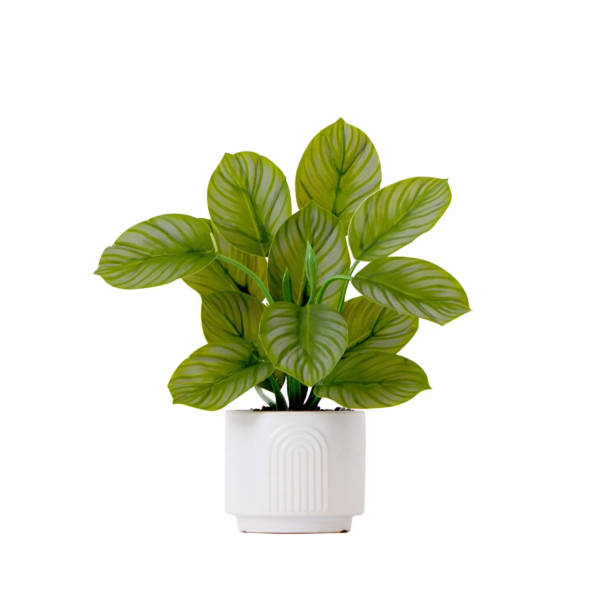 12in Colorful Artificial Calathea Leaf Plant - Synthetic Tropical Showstopper Leaves, Bendable Branches, Leaf Print Decor with Included Planter for Indoor Display Home Decor Supplies