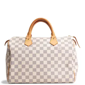 Pre-owned Louis Vuitton Coated Canvas Tote Bags Damier Azur Speedy 30