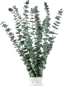 10 Pcs Dried Eucalyptus Stems 17" Real Eucalyptus for Shower Hanging 100% Made from Fresh Leaves, Wedding, Home, Farmhouse, DIY Spring Decor Bathroom Decor Home Decor
