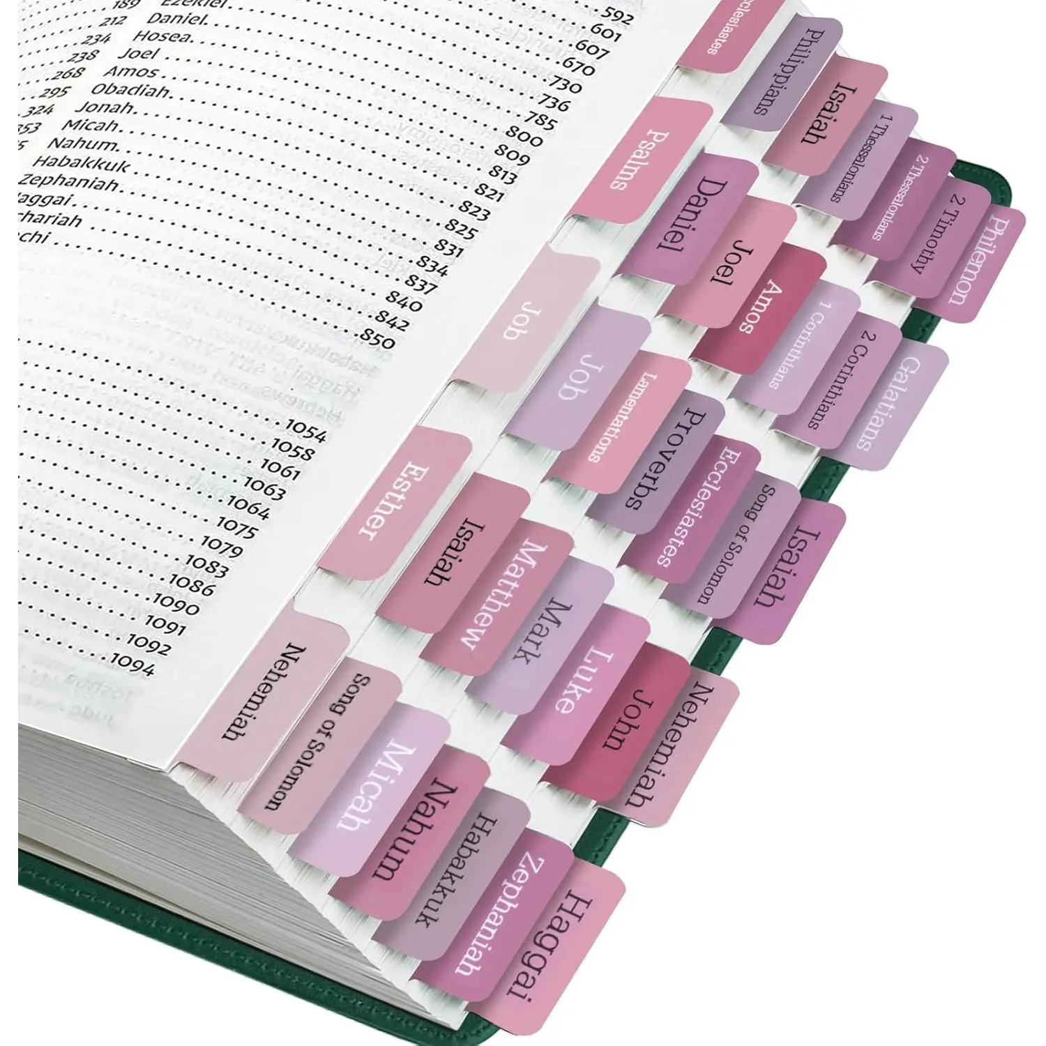 Tabs, 75 Tabs, Laminated  Index Tabs for Women and Men,  Book Tabs for Easy Navigation, Large Print Easy to Read ()