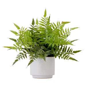 Nearly Natural 13" Artificial Boston Fern Plantwith Planter