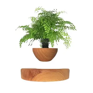 Floating Plant Pot Magnetic Levitating Design for Succulents Air Bonsai & Fake Flowers Unique Home Office Desk Decor Father's Day Gift