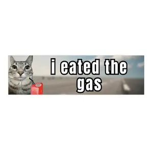 I eated the gas | Bumper Sticker AND Magnet | Funny Meme Sticker | 8.7'' X 2.7'' | Waterproof Premium Quality