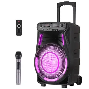 Portable Bluetooth PA Trolley Speaker System 12" Subwoofer Heavy Bass Loud Party SoundBox Tailgate Speaker with Microphone FM LED Light Remote Control