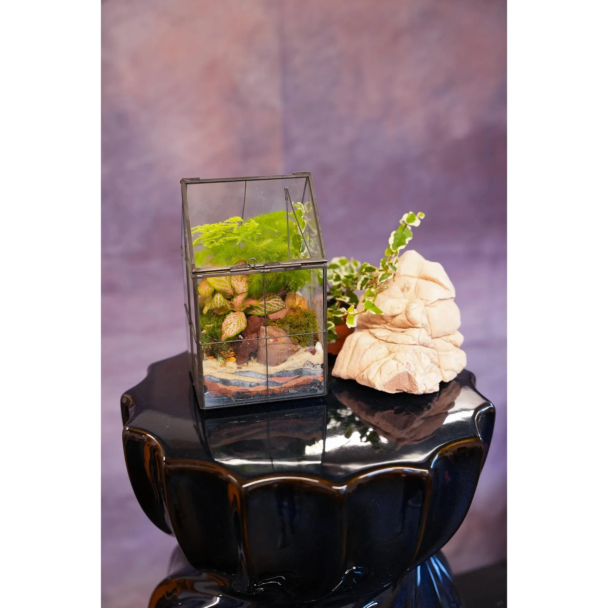 T1 Mini Greenhouse Terrarium