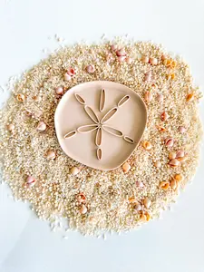 Mini Sand Dollar Tray