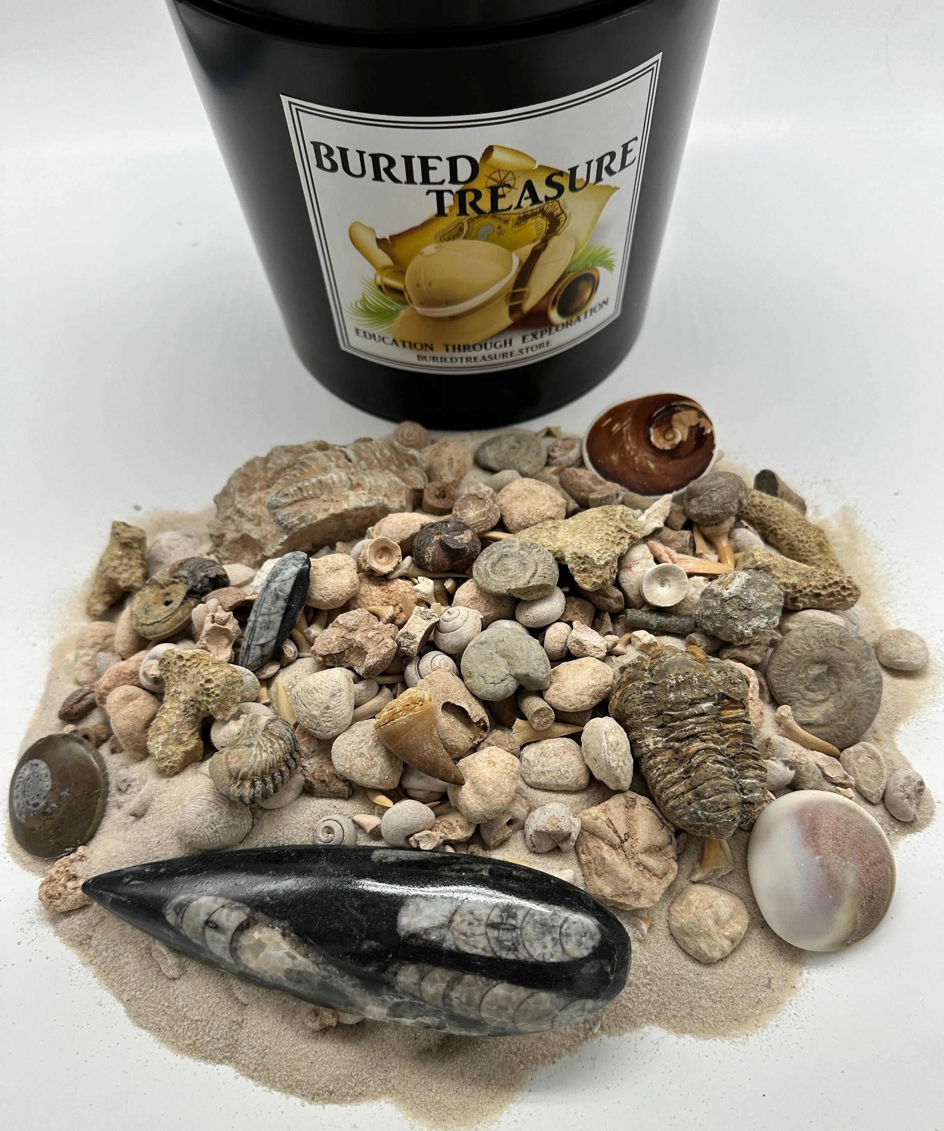 1 GALLON FOSSIL MINING BUCKET