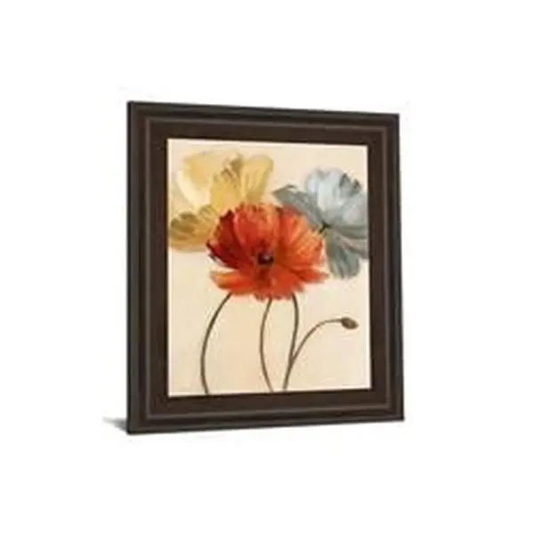 Classy Art 4814 Artistic Framed Flower Print Wall Art, 22 in. x 26 in. Poppy Palette Photo by Nan, Home Decor Accent for House Room Decor, Home Inspo, Nature Art