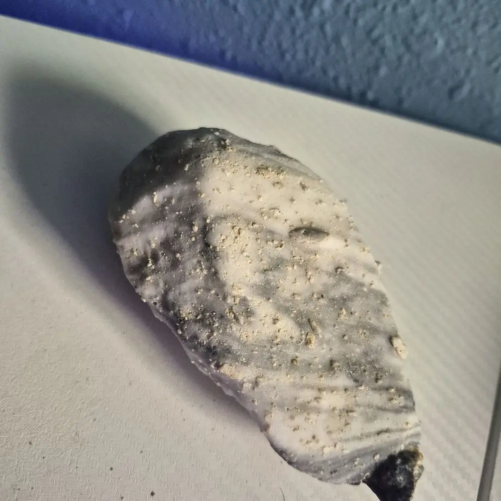 Palm Springs Quartzite Stone with Xenolith Inclusion