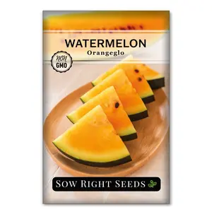 Orange Glo Watermelon
