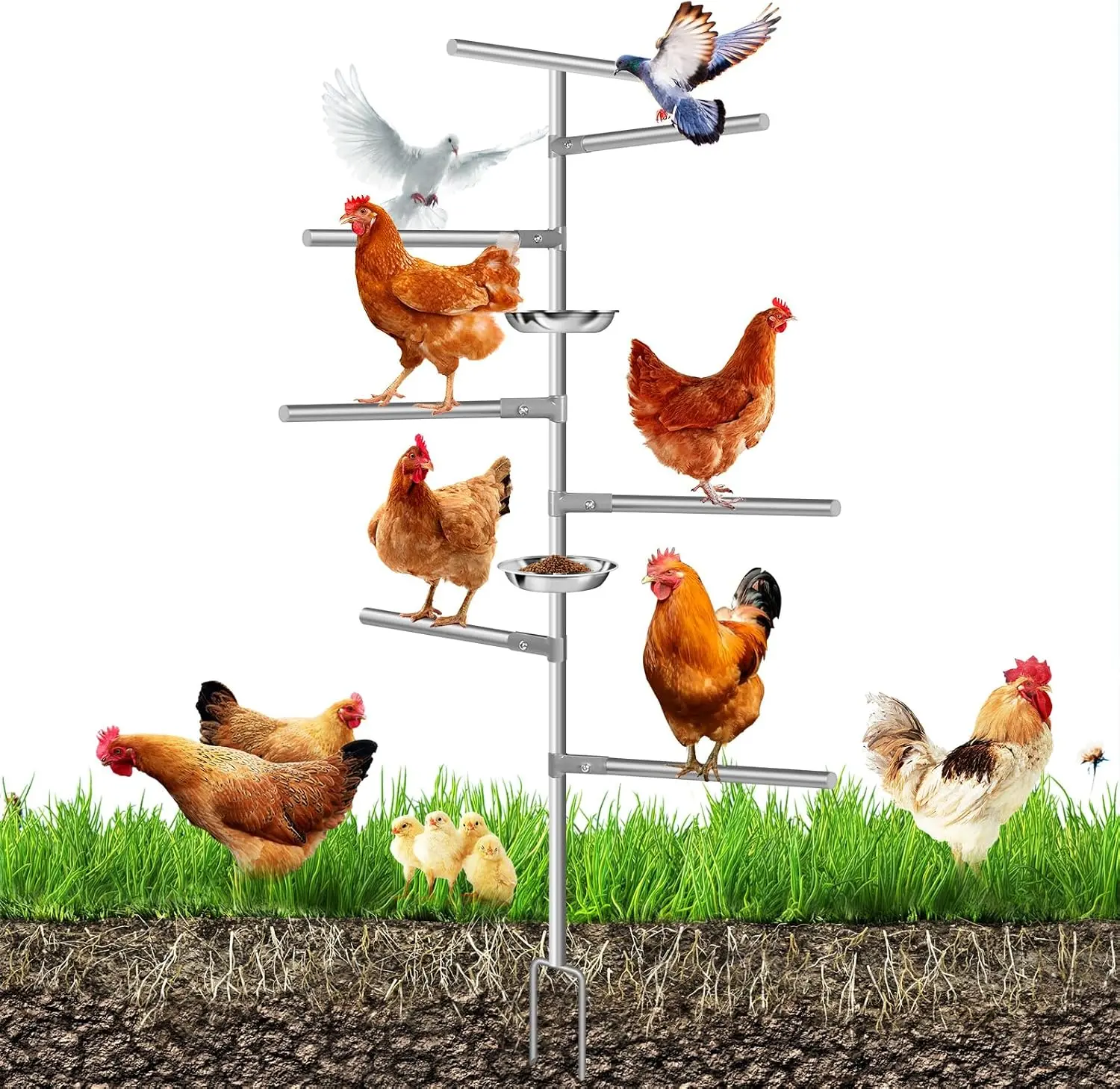 Wooden Chicken Perch Stand with Metal Ground Plug & Feeding Tray, Coop Roosting Bar Accessory for Poultry (Bird, Parrot, Rooster)