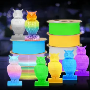 Gradual Color 3D Printing Filament, Glow-In-The-Dark Pla Filament, 250g (8.8oz) Spool, Ideal for 3D Printing Projects