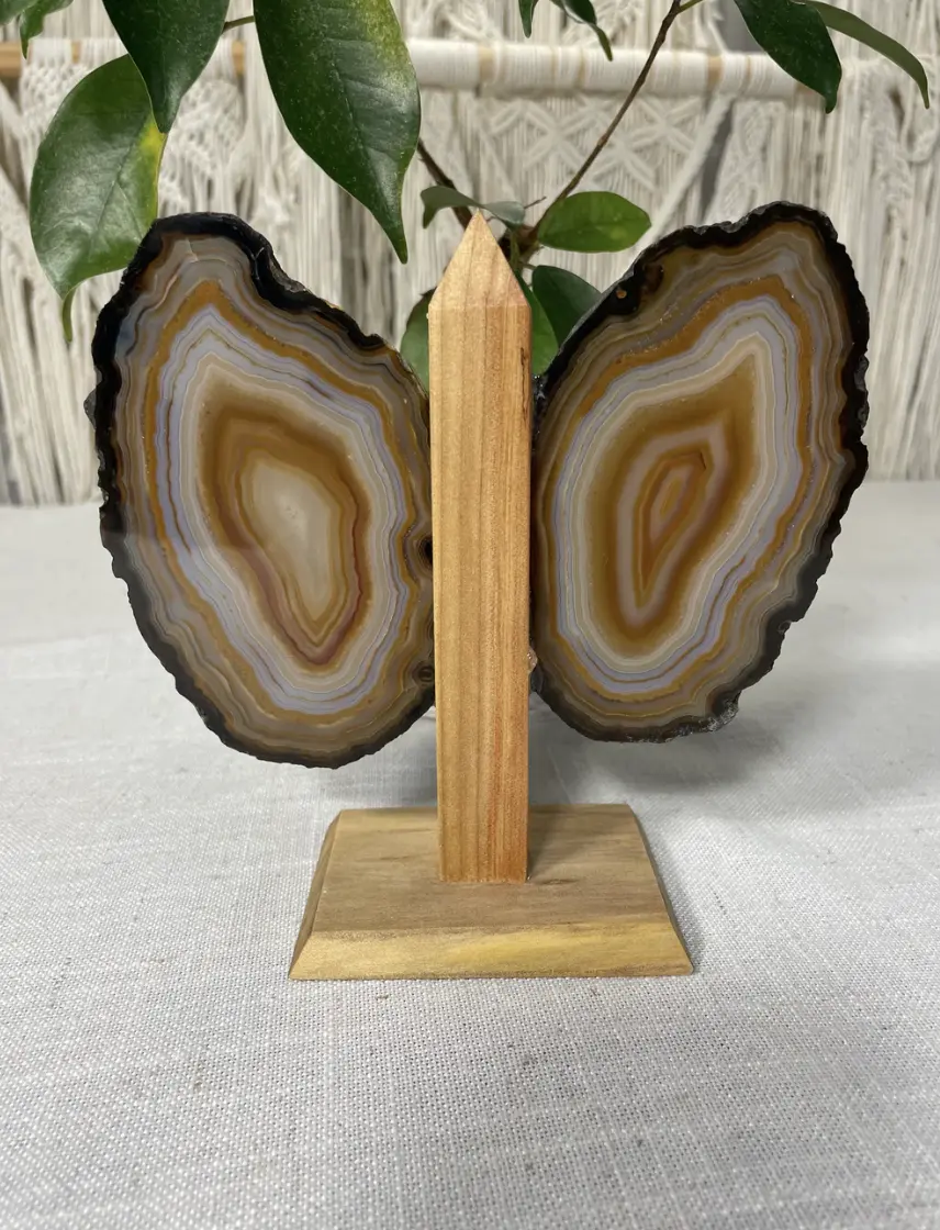 Brazilian Agate Butterfly Wings (B)