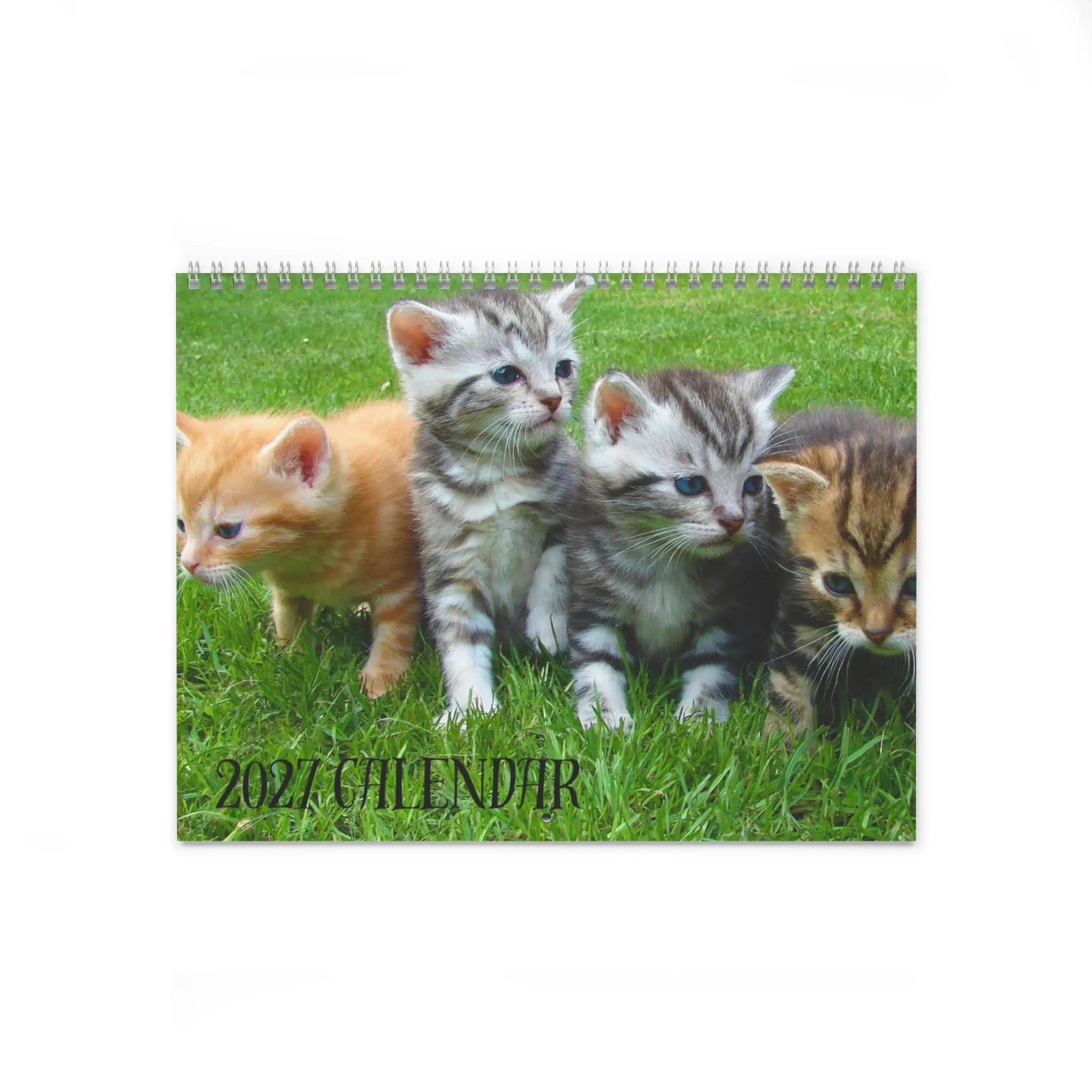 Cute Kittens Wall Calendar | 12-Month Cat Photo Calendar