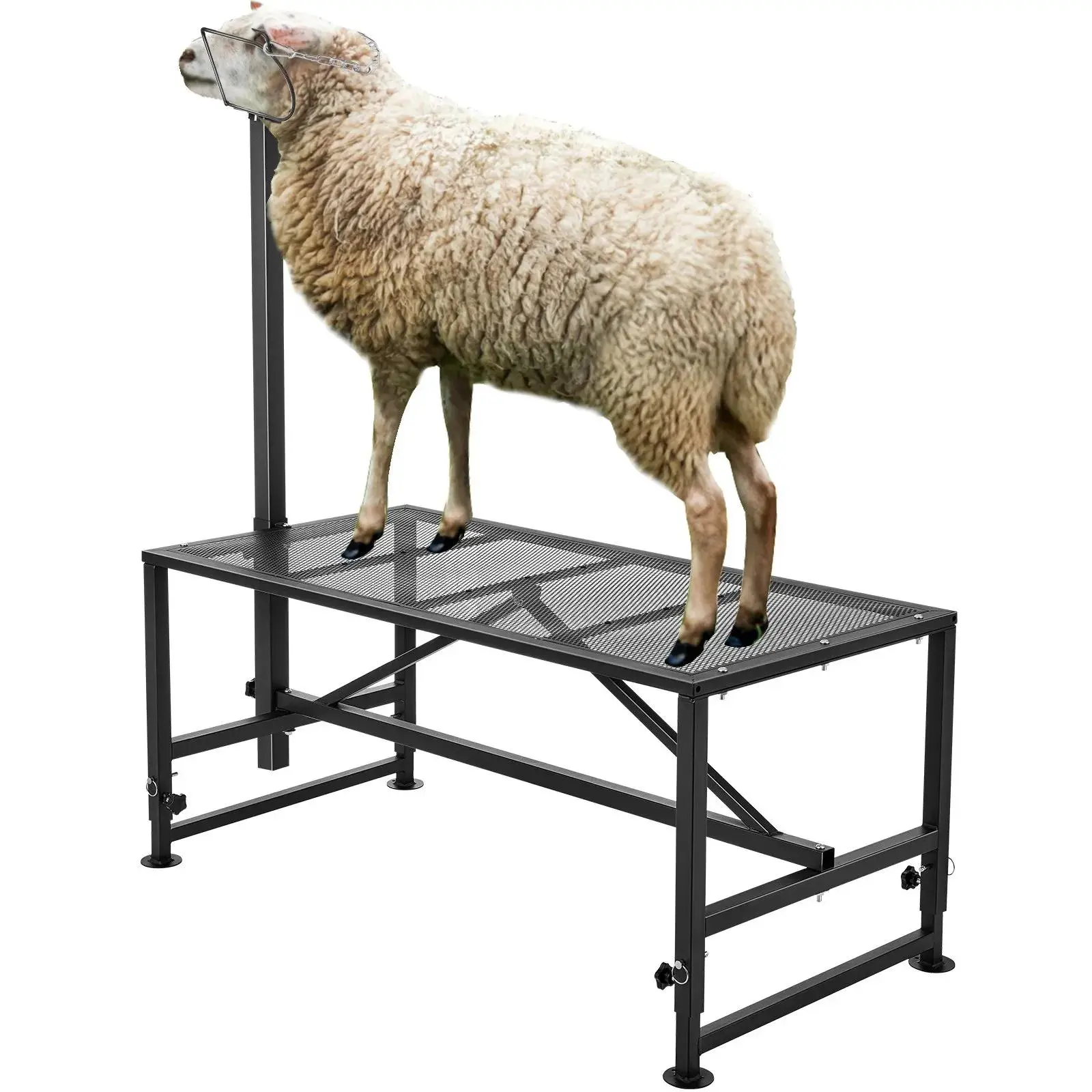 47"x23" Metal Goat & Sheep Stand – 21"-33" Adjustable Height, 500lbs Capacity, Livestock Milking/Shearing Station with Headpiece & Nose Loop, Heavy-Duty Black