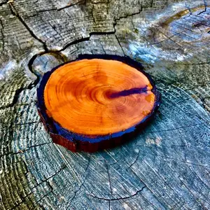 Epoxy Resin Coaster - Natural Wood Design with Epoxy Finish for Tabletop Protection