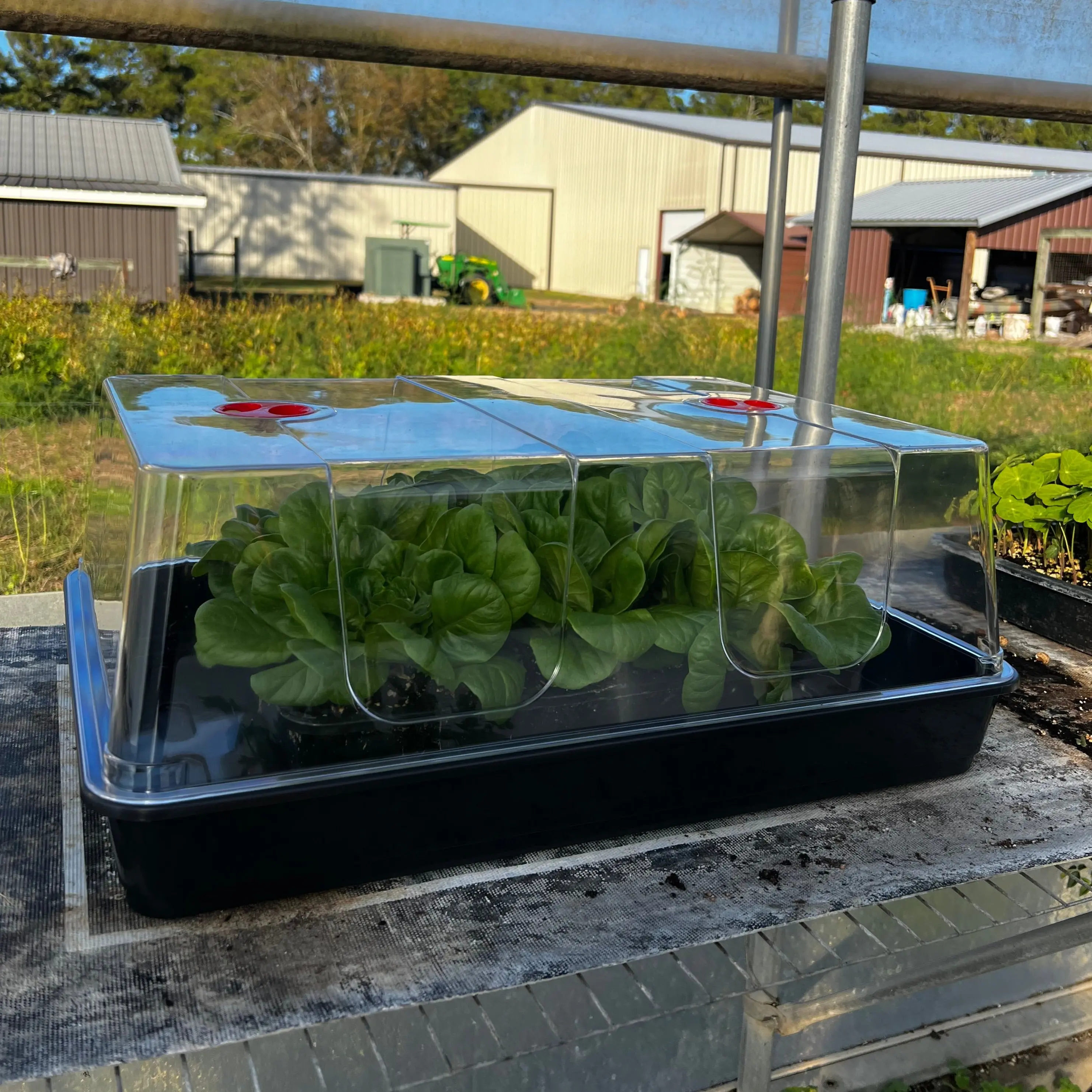 Deluxe Seed Starting Kit