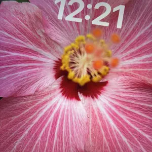 review image 4