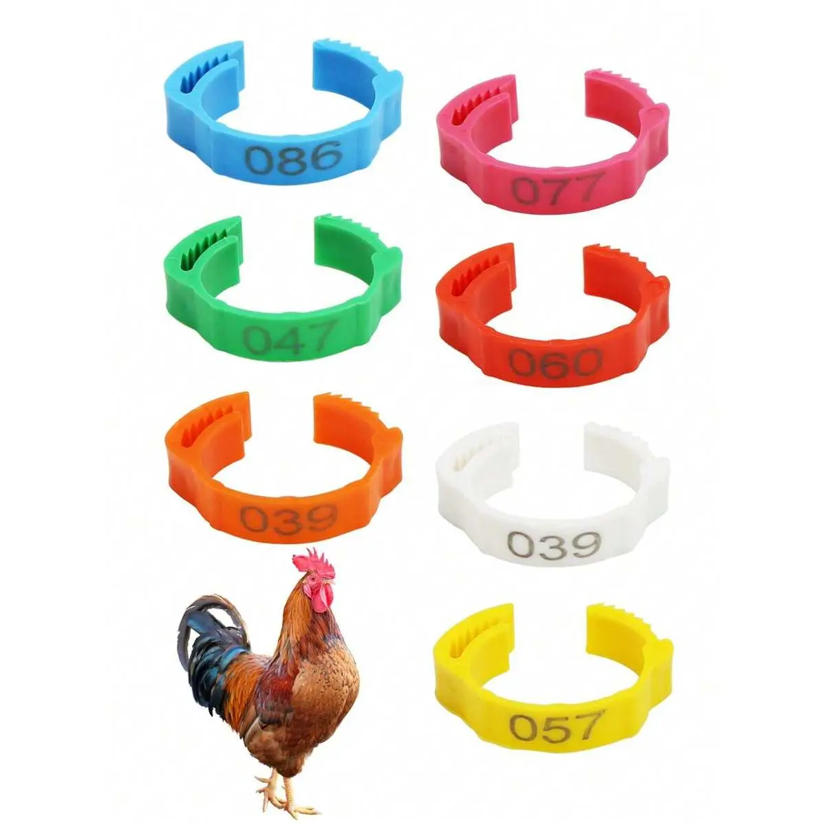 100pcs PE Red & Blue Adjustable Numbered Chicken Foot Label Rings (001-100) - Reusable Clip-On Leg Bands for Farmers' Poultry Identification (Chickens, Ducks)