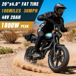 PikeBike 1800W Electric Motorcycle 48V 20AH Removable Battery 80 Miles Range 30MPH High-Speed Electric Bike for Adults Off-Road & Commuting