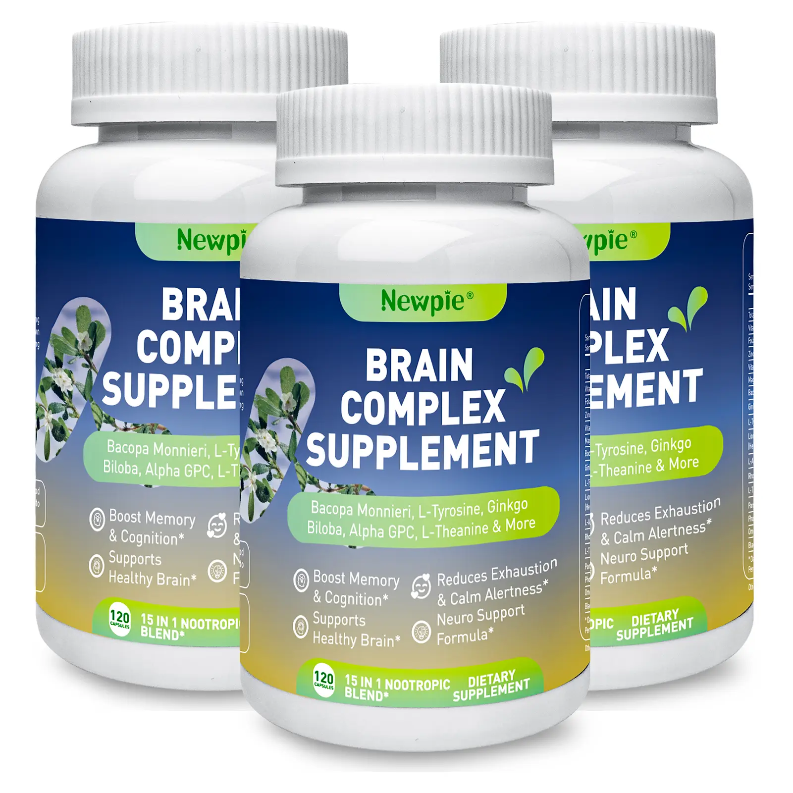15 in 1 Nootropic Brain Supplements for Memory, Focus & Energy | Alpha GPC, Lion's Mane, Bacopa Monnieri & Ginkgo Biloba, 120 Capsules