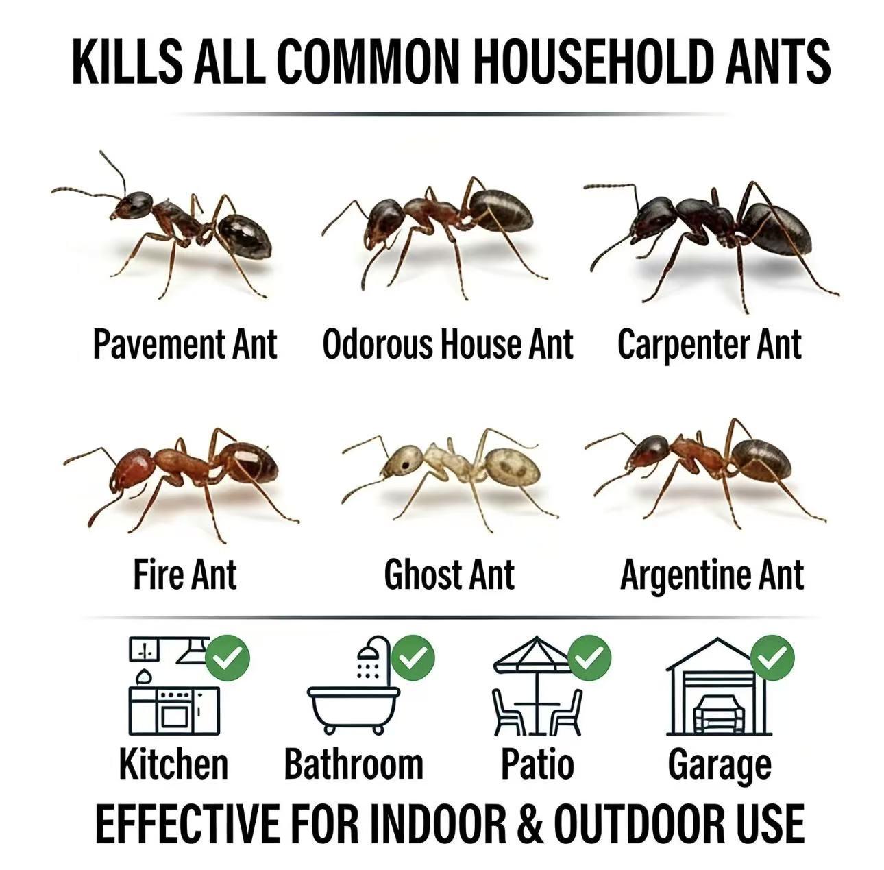 Effective Ant Killer Bait Gel (2 Pieces) | Professional Grade Ant Remover for Home