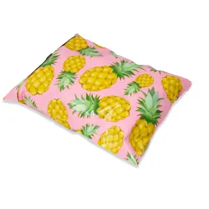 Pineapple Poly Mailers Size 6x9 Shipping Bags