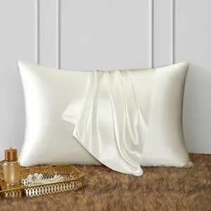 DISANGNI 22 Momme 100% Natural Mulberry Silk Pillowcase for Hair and Skin - Double-Sided Pure Silk, Invisible Zipper Design, 1PC mulberry silk blissy  pillowcase silk  bedding silk  bed blissy  satin pillow case