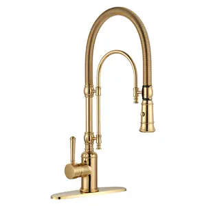 WOWOW Modern Brushed Gold Solid Brass High Arc Gooseneck Spout Kitchen Faucet - 2-Function Single Handle, Magnetic Dock Pull Down Sprayer, Spring Tube Gold Kitchen Tap for Home Use, Brushed Gold Kitchen Taps