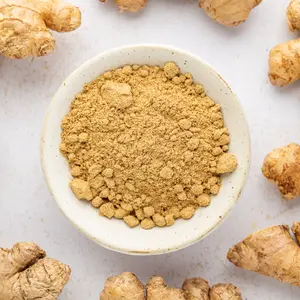 Slofoodgroup Ginger Powder for Cooking, Teas, Baking Spice Slofoodgroup Ginger Powder for Cooking, Teas, Baking Spice