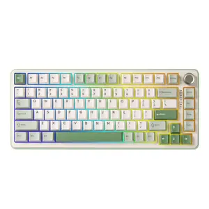 YUNZII B75 PRO Matcha Green Wireless Mechanical Keyboard, 75% Layout with Knob, Hot Swap Gasket Structure, Creamy Pre-lubed Switches, RGB Backlit, Bluetooth/Type-C/2.4G for Win/Mac